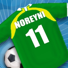 mon maillot d'equipe national