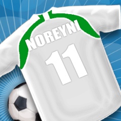 mon maillot d'equipe !!!