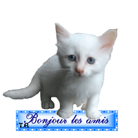 bonjour les amies