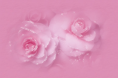 des rose pour vous !!!!!!!!!!!!!