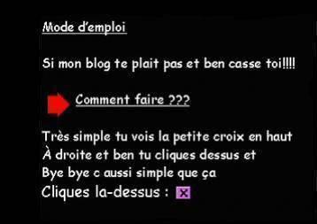 si tu n'aime pas mon blog