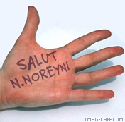 sava